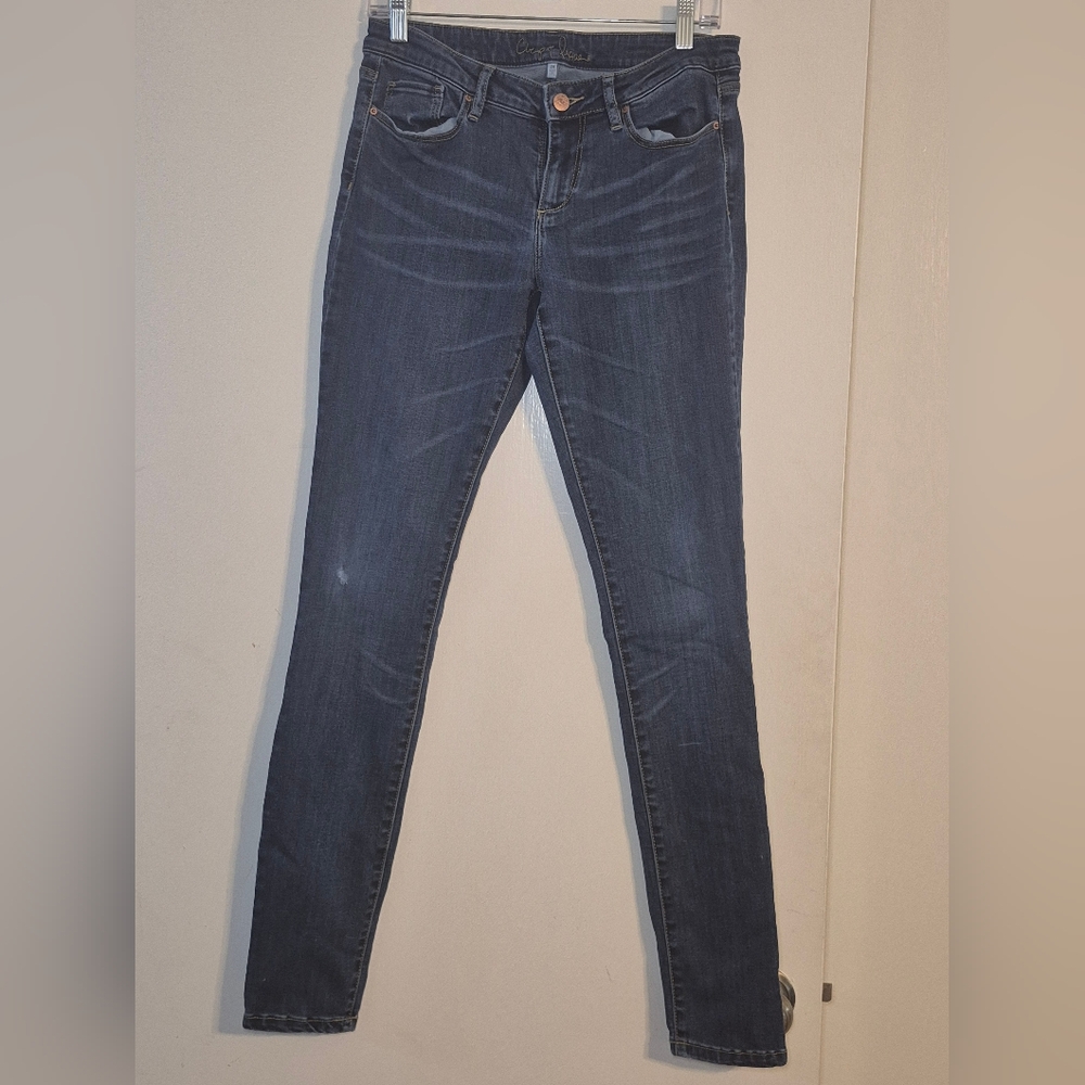 Chip & Pepper Syd Skinny Women's Jeans